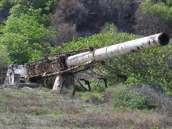 A large, rusted artillery cannon-like gun sits in brush, covered in growth.