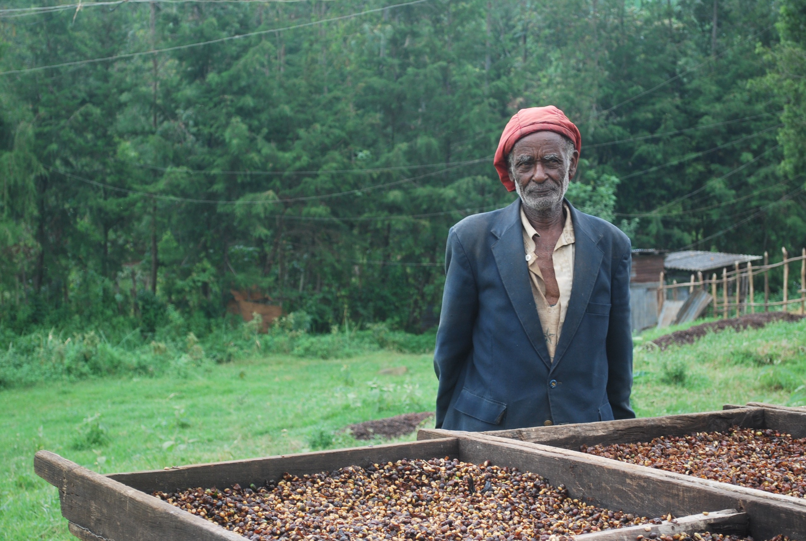 An Ethiopian man stands next to a number of crates of freshly-picked coffee beans.