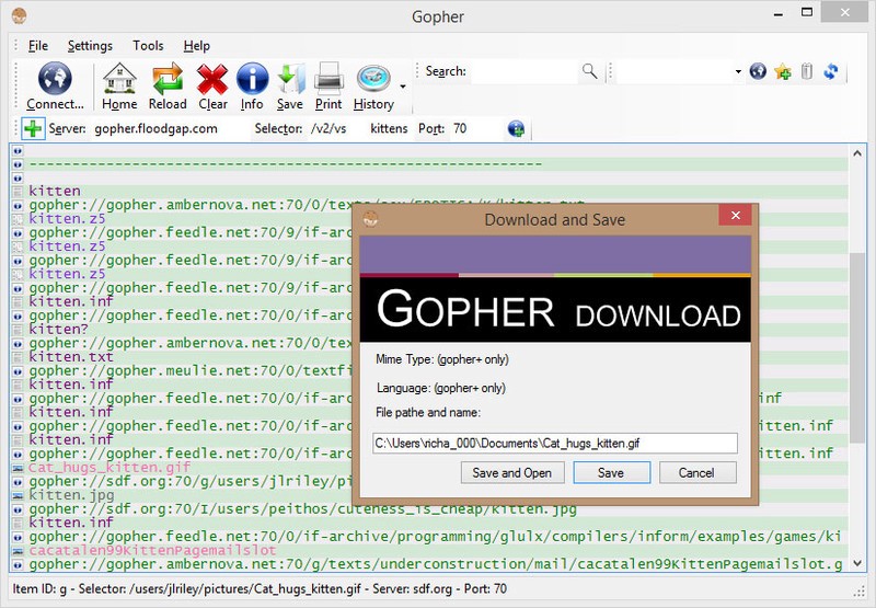 A Gopher download alert.