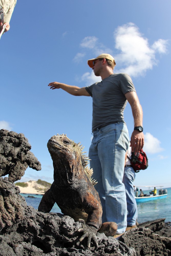 Karl stands, pointing into the distance. In the close foreground an iguana stands pensive.