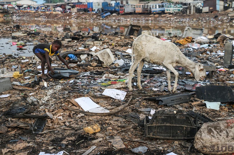 A boy and a goat in a waste dump.