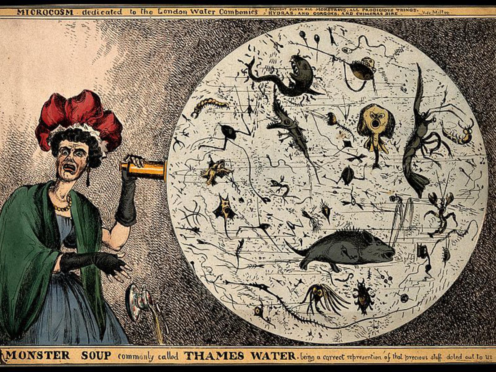A woman in formal attire holds a microscope in one hand, and turns to look at the viewer in horror. The microscope lens is blown-up larger to show a dense collections of microscopic animals and organisms. The caption reads: "A Monster Soup: commonly called Thames Water, being a correct representation of that precious stuff doled out to us!!!"