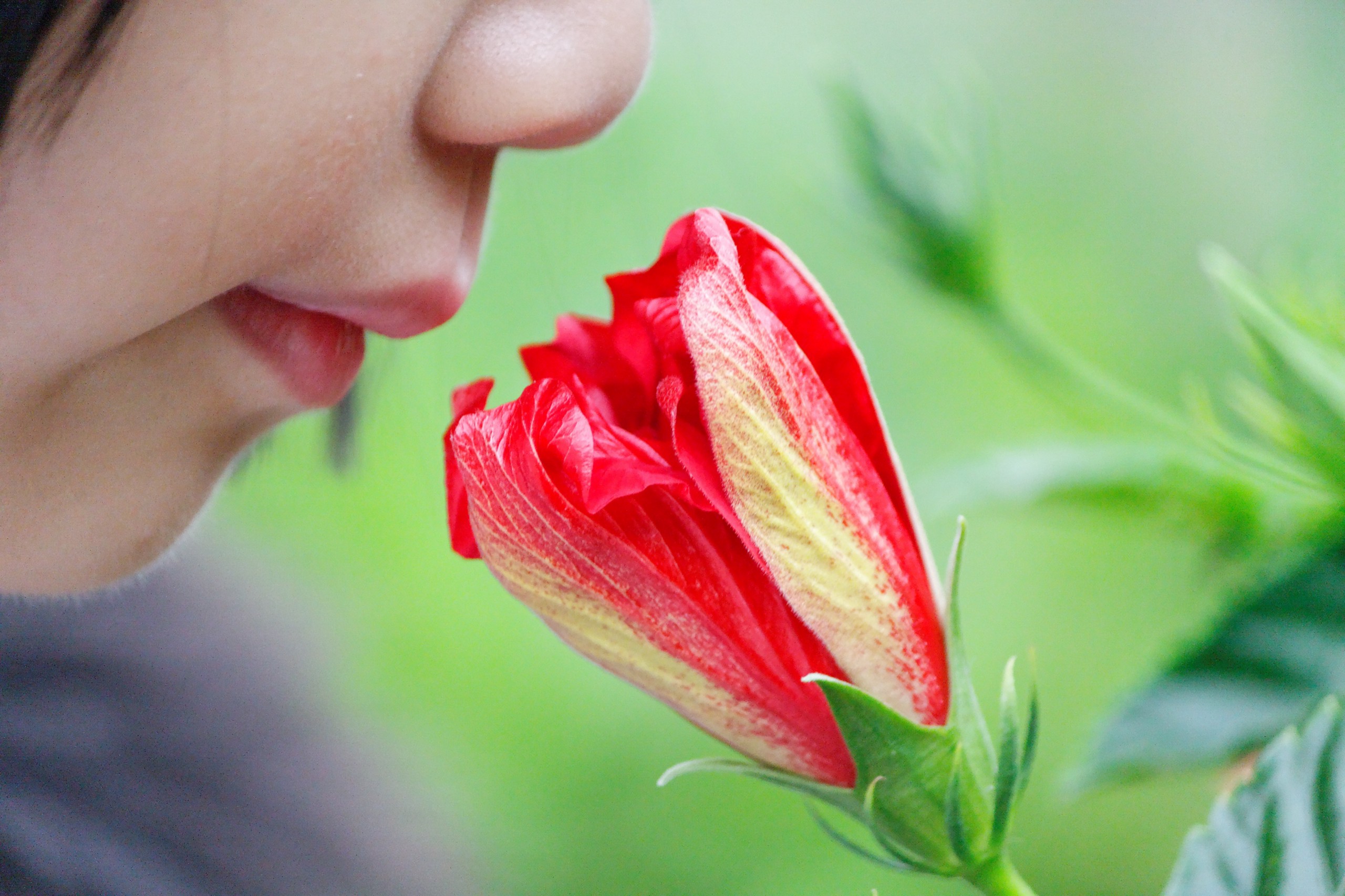 A closeup of a person's nose smelling a red flower.