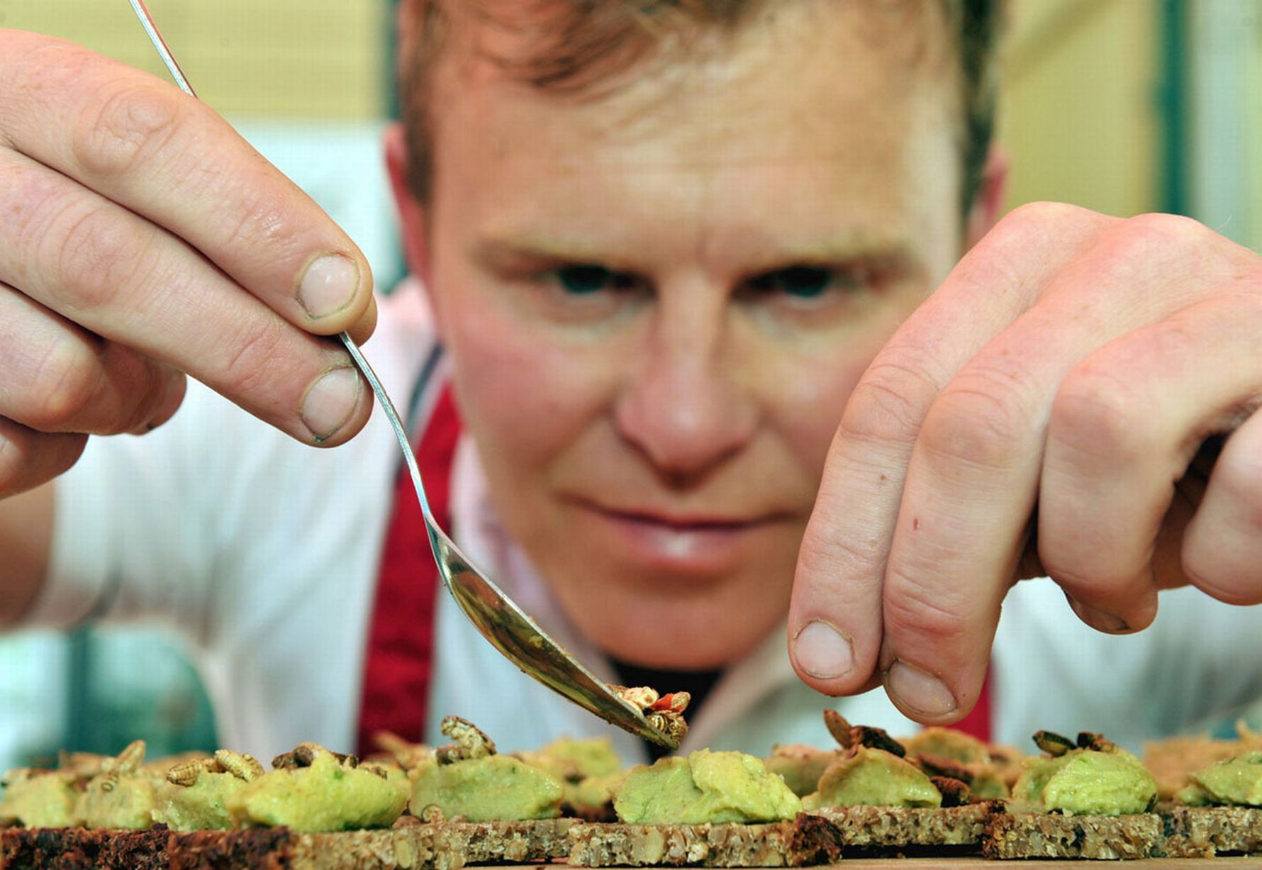 A man dressed as a chef delicately places cooked grubs as a garnish on top of some hors d'oeuvre.