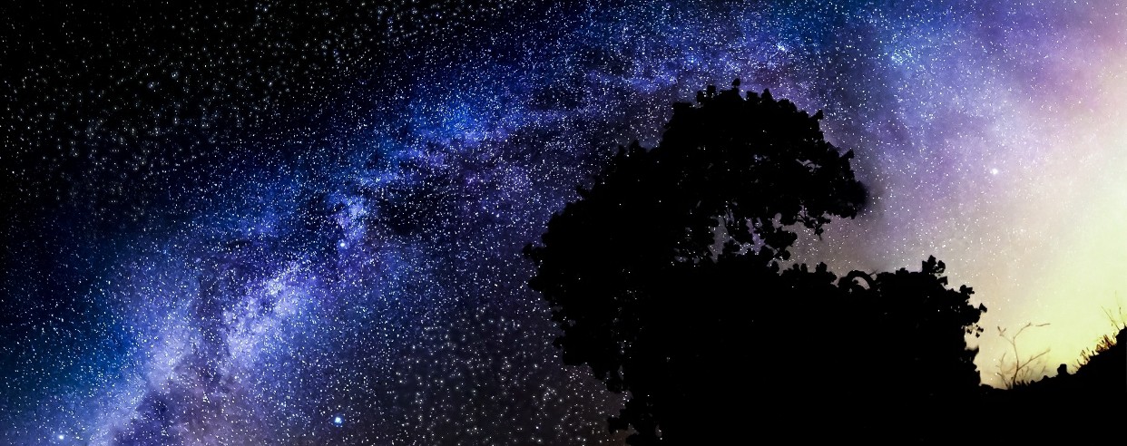 A starry night, with a tree in the foreground.
