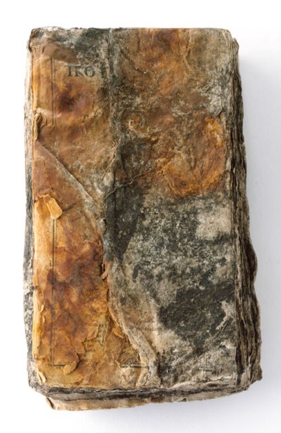 A weathered and leathered book, decayed and unusable but still recognizably a book.