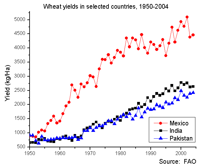 A graph of wheat yields against time, showing huge increases in Mexico after the introduction of Borlaug's modified wheat varieties.
