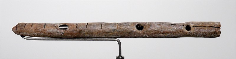 A primitive flute, carved from bone.