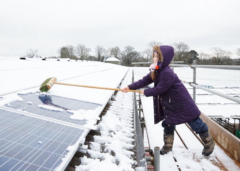 A woman with a broom sweeps snow off solar panels.