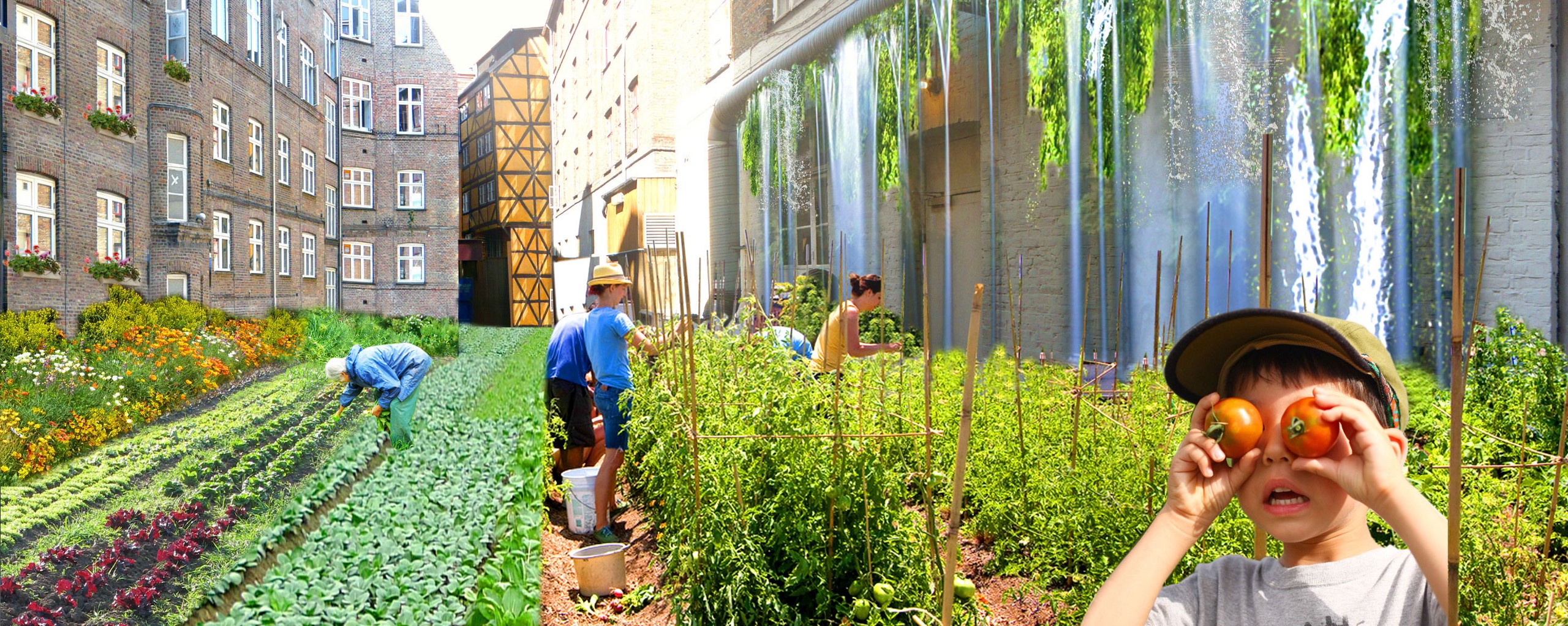 A mock-up of people farming tomatoes in a community garden between city buildings.