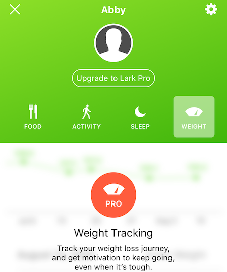 A screenshot of the user profile screen inside the Lark app.