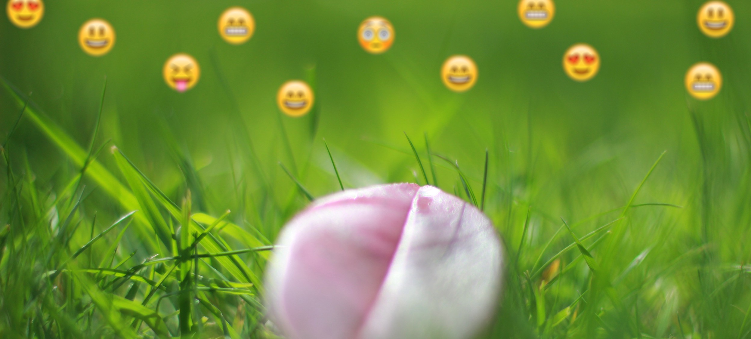 A petal lying in grass, surrounded by emoji.