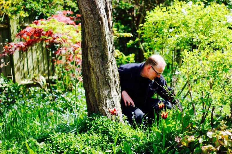 A man crouches in a garden by a tree.
