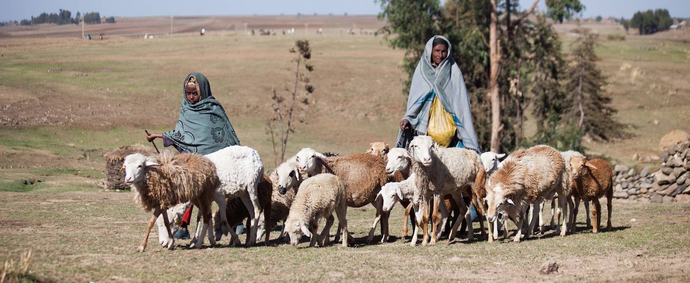 Two women herd goats in a rural area. They are wearing robes.
