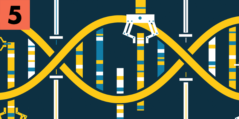5 - a helix of DNA being altered by a small clamp, which is moving standes around.