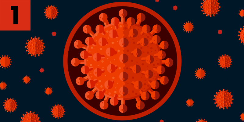A close-up of a virus.