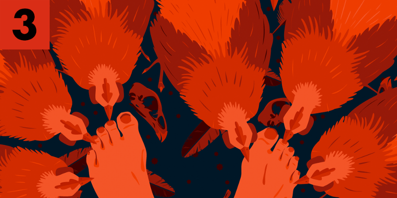 A group of chickens peck at a person's exposed feet.