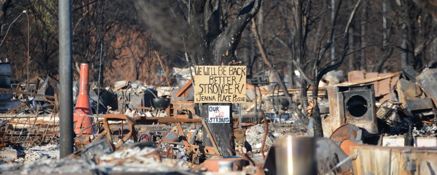 A picture of the devastation of the 2017 fire. Charred furniture and other personal possessions lie among dead trees. In the center of the scene, a sign is fixed to a tree. It reads: "We will be back better! Stronger! Jenna Place Posse." Beneath is another sign that reads: "Our will is strong."