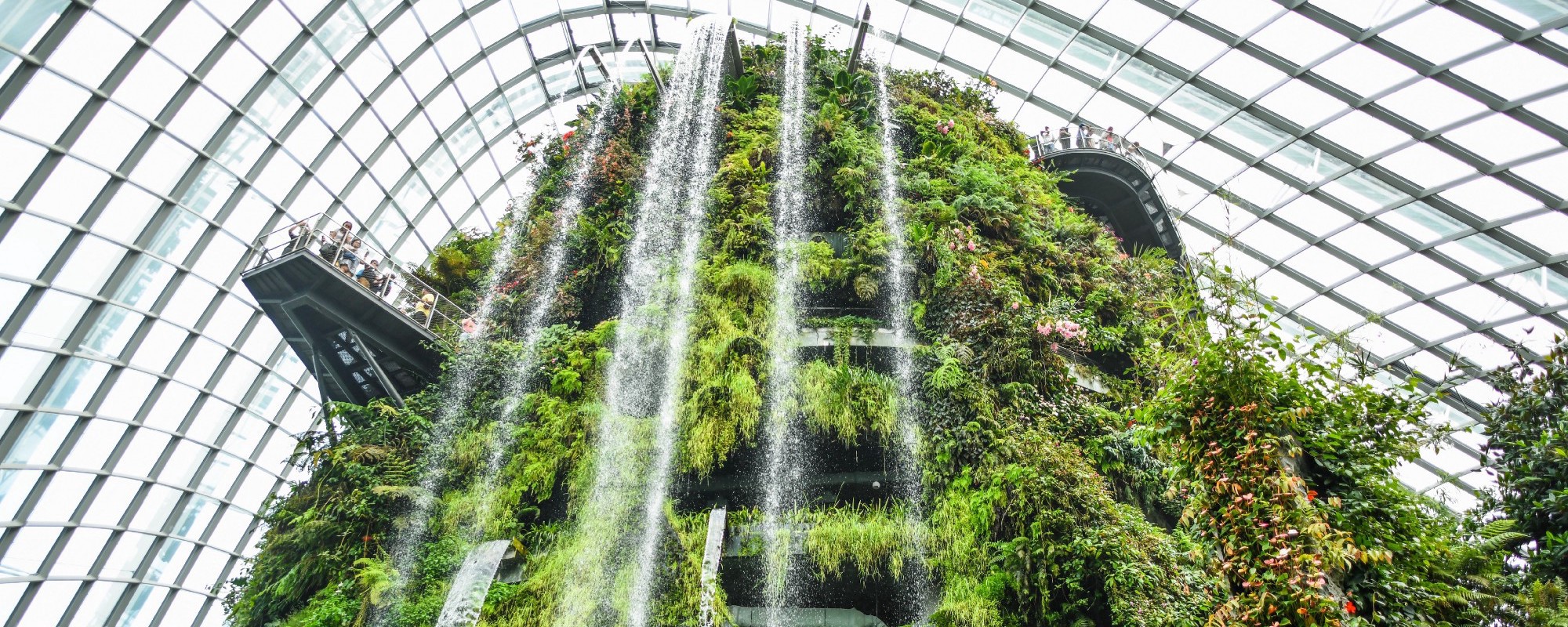 A large wall of green plants stretches up, with multiple waterpipes at the top ejecting waterfalls downwards. The entire structure is contained within a glass building.