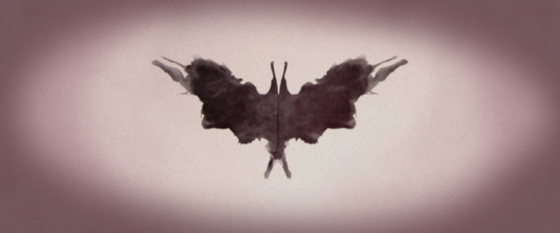 A Roschach ink blot. (I think it looks like a moth.)