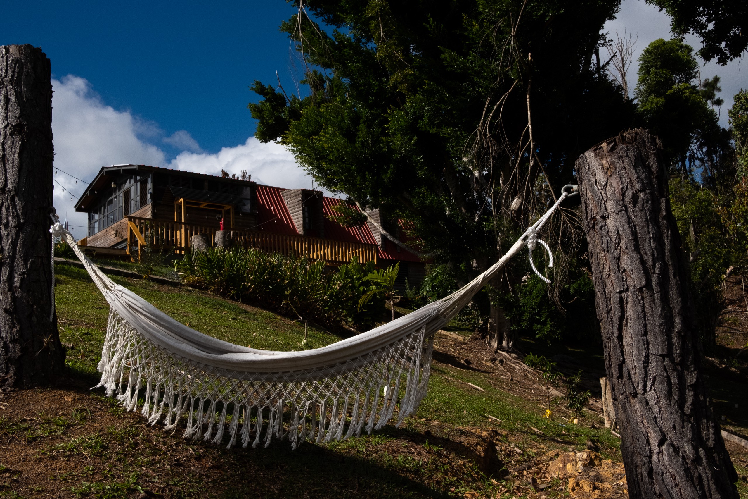 A house and a hammock strung between two stumps