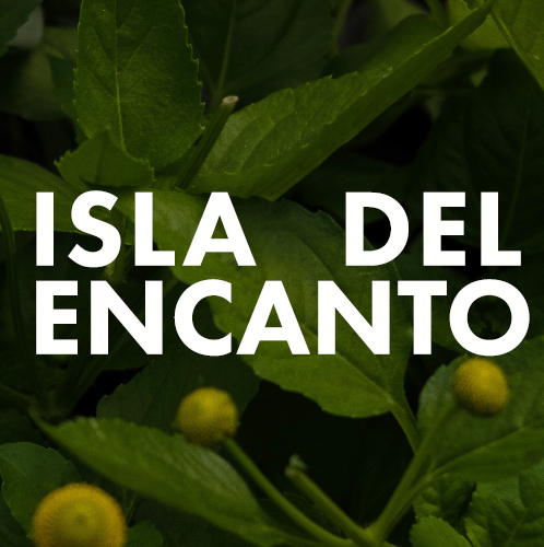 Isla del Encanto logo featuring green leaves and yellow flowers