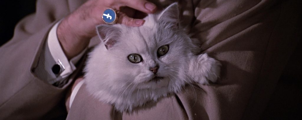 A still from a James Bond movie showing the evil villain Blofeld stroking his cat, but the image is edited so that Blofeld is wearing a ring with the Facebook logo.